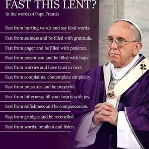 Meet your Posher, Joey